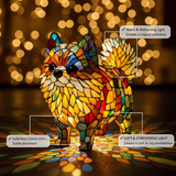 Pomeranian Éclatant